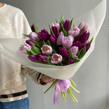 Purple bouquet of 25 tulips