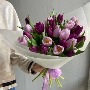 Purple bouquet of 25 tulips