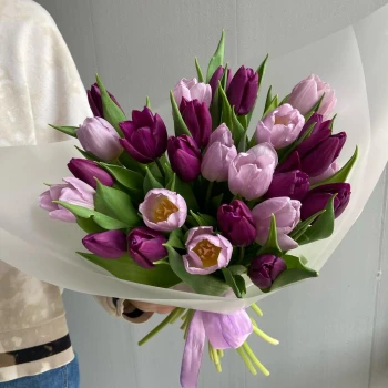Purple bouquet of 25 tulips