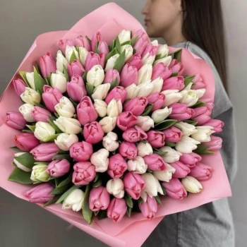 101 tulips in delicate shades