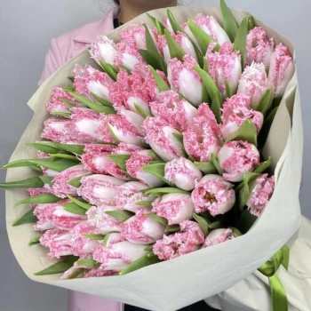 51 luxurious tulips