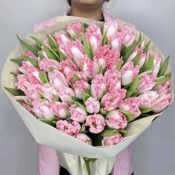51 luxurious tulips