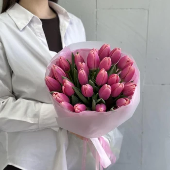 31 bright pink tulips