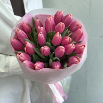 31 bright pink tulips