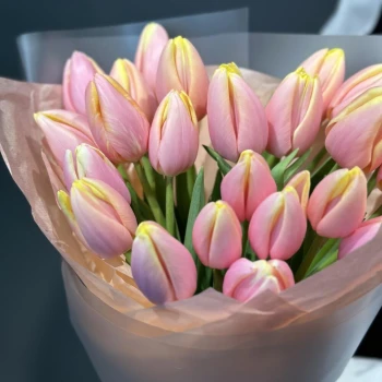 21 Mango tulips
