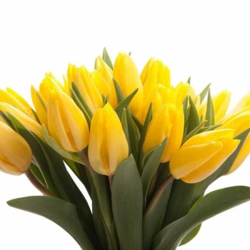 Craft bouquet “Sunny”