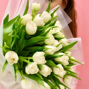 31 white peony tulips